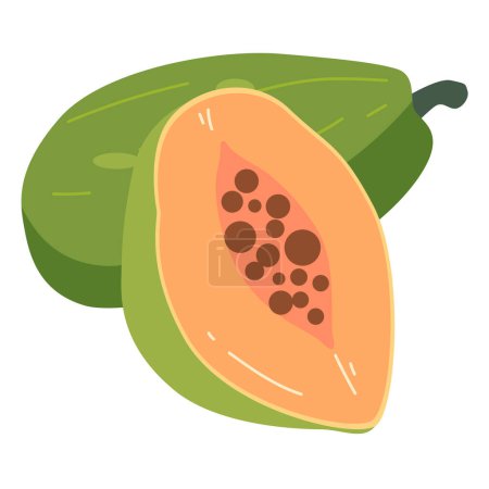 Organic papaya fruit vector illustration, whole and slices, cartoon papaw or paw paw fruits, buah pepaya or carica papaya icon isolated