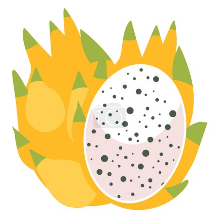 Yellow dragon fruit vector illustration design template elements, isolated on white background