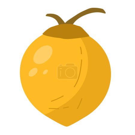 Ilustración de Ilustración de vector de fruta de coco amarillo entero, aislado sobre fondo blanco - Imagen libre de derechos