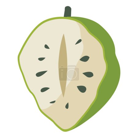 Illustration vectorielle de Soursop fruit ou sirsak isolée