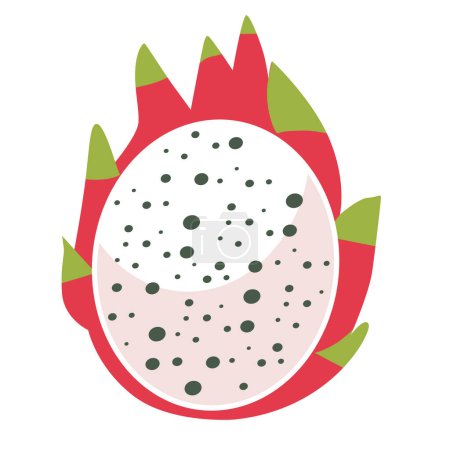 Cartoon white dragon fruit vector image, half slice pitaya or pitahaya flat icon design, asian tropical healthy fruits, buah naga putih isolated on white background