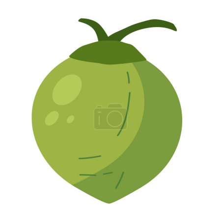 Ilustración de Ilustración de vector de fruta de palma de coco verde entero, icono de diseño plano buah kelapa aislado sobre fondo blanco - Imagen libre de derechos