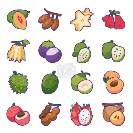 Cartoon fruit vector set, Cute doodle fruits icon flat illustration, natural tropical fruit, organic vegetarian food