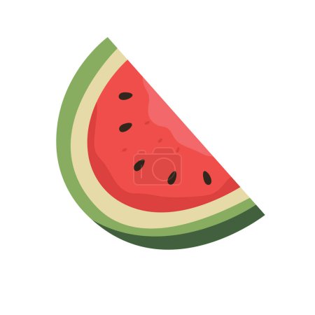 Watermelon vector illustration, Red sweet water melon in flat design style, slice watermelon isolated on white background