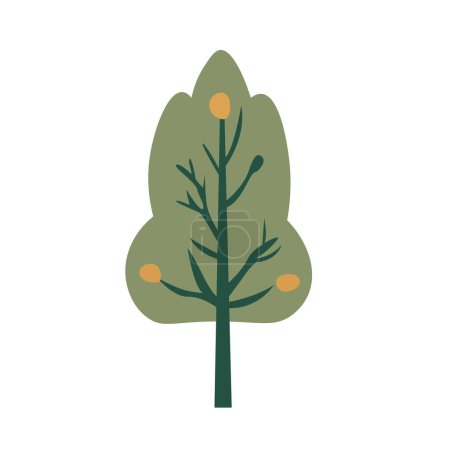Cartoon tree foliage vector illustration, flat nature tree plant isolated on white background
