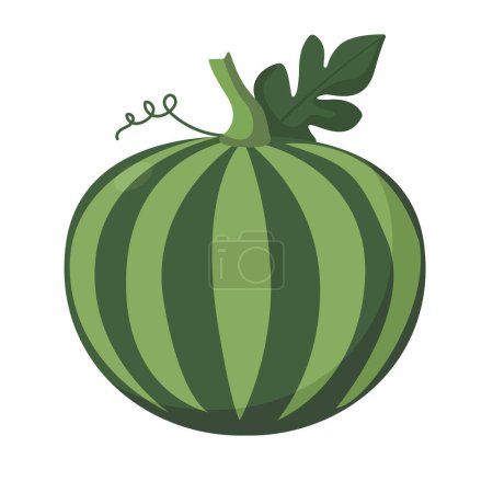 Fresh whole watermelon vector illustration, cartoon water melon fruit in flat design style, buah semangka icon isolated on white background