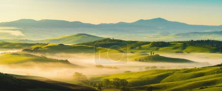 Photo for House surrounded by cypress trees among the misty morning sun-drenched hills of the Val d'Orcia valley at sunrise in San Quirico d'Orcia, Tuscany, Italy - Royalty Free Image