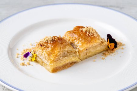 Téléchargez les photos : Dessert traditionnel turc baklava aux noix sur une assiette en porcelaine blanche - en image libre de droit