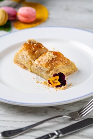 Téléchargez les photos : Dessert traditionnel turc baklava aux noix sur une assiette en porcelaine blanche - en image libre de droit