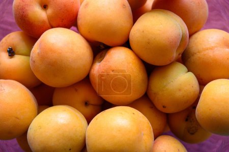 Téléchargez les photos : Vue de dessus des abricots biologiques fraîchement cueillis empilés les uns sur les autres - en image libre de droit