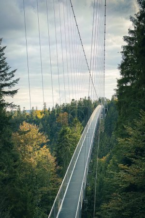 Photo for Bad Wildbad, Germany - October 13, 2020: Wildline suspension bridge - Royalty Free Image