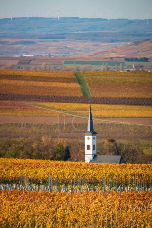 Foto de Iglesia frente a Flonheim Uffhofen, Alemania en medio de viñedos de color otoñal de la región del Rin Hesse - Imagen libre de derechos