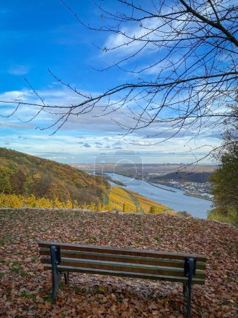 Photo for Bench at scenic viewpoint to River Rhine, Rheingau and Rheinhessen near Niederwald monument, Germany - Royalty Free Image