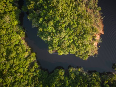 Schöne Luftaufnahme des grünen Amazonas-Regenwaldes und Flusses in der Nähe des Anavilhanas-Archipels, Amazonas, Brasilien