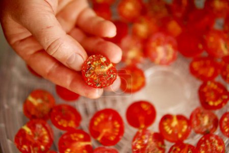 Photo for Woman in her kitchen preparing sun-dried tomatoes - Royalty Free Image