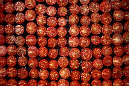 Photo for Overhead View of Rows of Sun-Dried Tomatoes Prepared at Home - Royalty Free Image