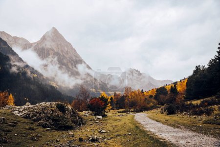 Foto de Camino en un bosque con montañas en el fondo en otoño - Imagen libre de derechos