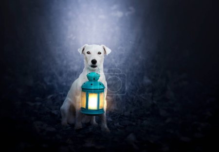 Photo for Jack Russel holding a candlestick, with a lit candle. Soul time - Royalty Free Image