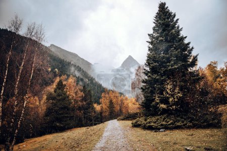 Foto de Sendero en un valle de montañas rodeado de árboles en otoño - Imagen libre de derechos