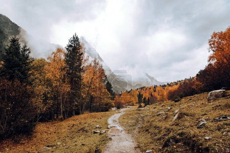 Téléchargez les photos : Chemin dans une vallée de montagnes entourée d'arbres en automne - en image libre de droit