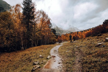 Chemin dans une vallée de montagnes entourée d'arbres en automne