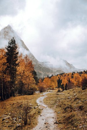 Foto de Caminar en un valle rodeado de montañas y árboles - Imagen libre de derechos