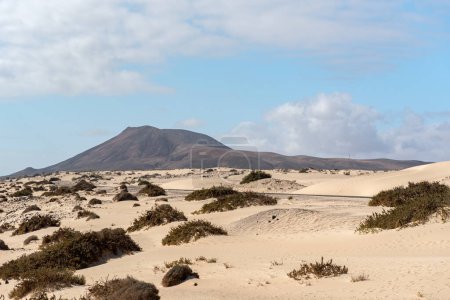 Naturpark Dunas de Corralejo auf Fuerteventura, Spanien im Herbst 2020.