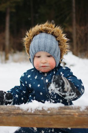 Photo for Boy making snowman in forest - Royalty Free Image