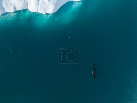 Foto de Ballenas jorobadas cerca de icebergs desde vista aérea - Imagen libre de derechos