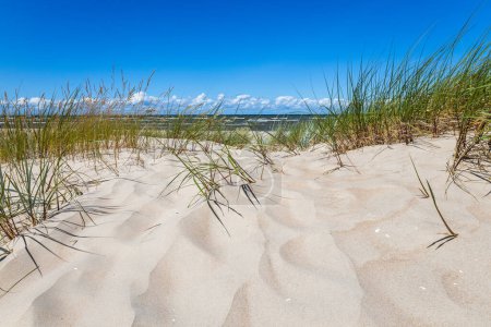 Foto de Beautiful white sand dunes at the Baltic sea beach. - Imagen libre de derechos