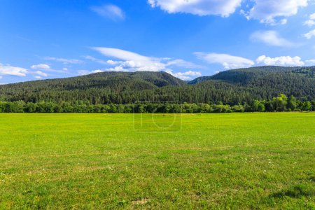 Foto de Green field with Tatras mountain in the background in the countryside. - Imagen libre de derechos