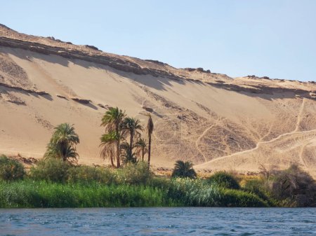 Foto de Paisajes del río Nilo y su naturaleza desde un crucero - Imagen libre de derechos