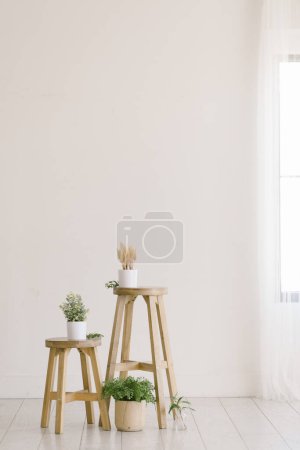 Téléchargez les photos : Maison minimale avec tabourets en bois entourés de plantes de maison - en image libre de droit
