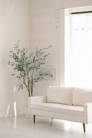 Téléchargez les photos : Salon blanc avec canapé blanc par grande fenêtre avec un t simple - en image libre de droit