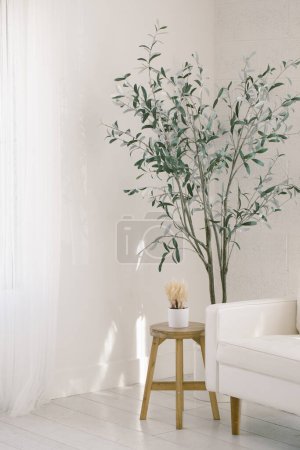 Habitación blanca con muebles mínimos y decoración de plantas con ventana n