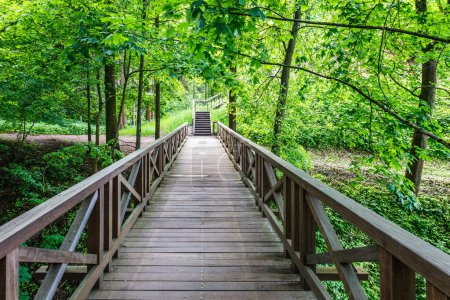 Foto de Puente de madera que conduce a la colina de Vytautas, Birstonas, Lituania - Imagen libre de derechos