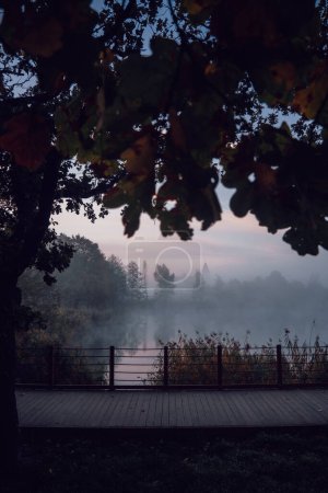 Téléchargez les photos : La passerelle se termine dans un paysage brumeux - en image libre de droit