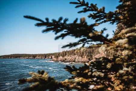 Foto de La escarpada costa rocosa de Maine en Cutler Public Reserved land. - Imagen libre de derechos