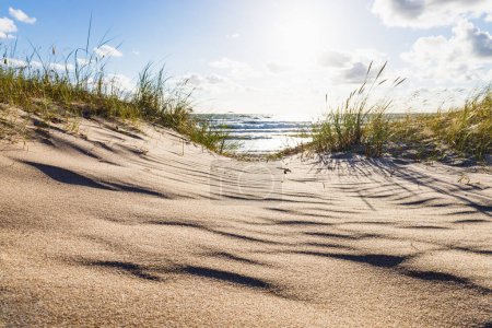 Piaszczysta plaża i wydma z trawą na Bałtyckiej plaży. Piękny krajobraz morski. 
