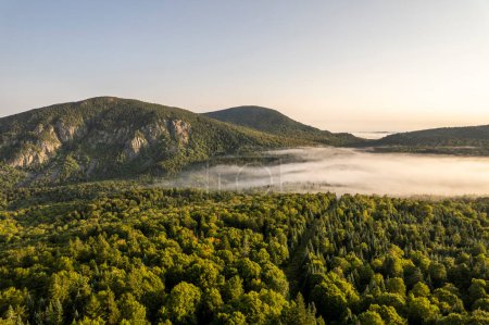 Téléchargez les photos : Le mont Marbre domine les bois brumeux le long de la frontière canado-américaine, Québec - en image libre de droit