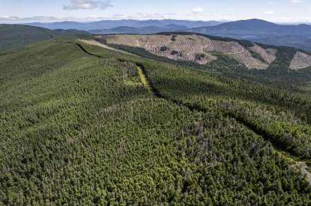 Foto de Vista aérea del claro de tala a lo largo de la frontera entre Estados Unidos y Canadá, Maine - Imagen libre de derechos