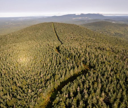 Foto de Frontera internacional cruza montaña boscosa entre EE.UU. y Canadá - Imagen libre de derechos