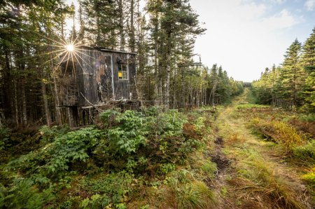 Téléchargez les photos : Ancienne cabane de chasse aux intempéries au Québec le long de la frontière internationale américaine - en image libre de droit