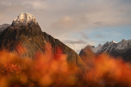 Photo for Autumn color below snow capped summit of Olstind mountain peak, Reine, Moskenesy, Lofoten Islands, Norway - Royalty Free Image