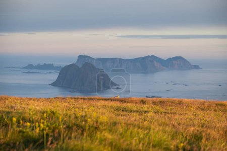 Foto de Vista desde la meseta de Hellsegga con vistas a Moskstraumen hacia Vry, Parque Nacional Lofotodden, Moskenesy, Islas Lofoten, Noruega - Imagen libre de derechos