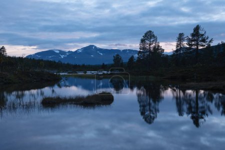 Téléchargez les photos : Silhouettes d'arbres reflétant dans un petit étang au crépuscule, Alpes Lyngen, Troms et FInnmark, Norvège - en image libre de droit