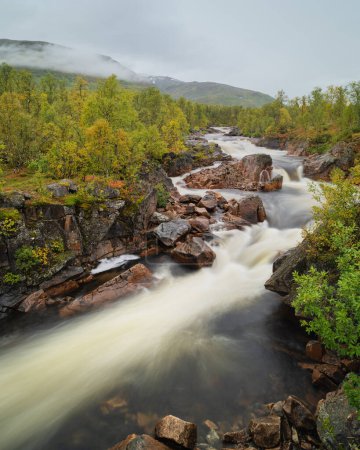 Téléchargez les photos : La rivière Svanelva coule à travers la forêt de bouleaux d'automne, Senja, Norvège - en image libre de droit