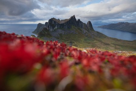 Téléchargez les photos : Vue vers les montagnes de ruggen Kongan depuis Hesten, Senja, Norvège - en image libre de droit