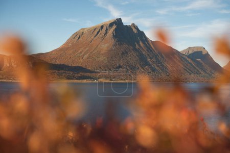 Photo for Autumn view from rest area on FV 17 towards island of Aldra, Nordland, Norway - Royalty Free Image