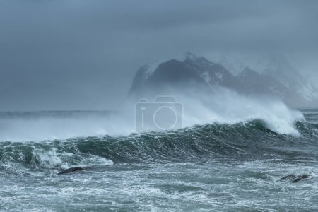 Photo for Storm wind blows sea spray off waves, Lofoten Islands, Norway - Royalty Free Image